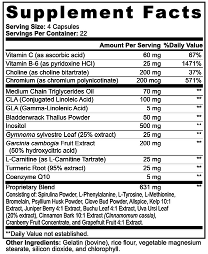 Super Fat Burner YAAM Wellness